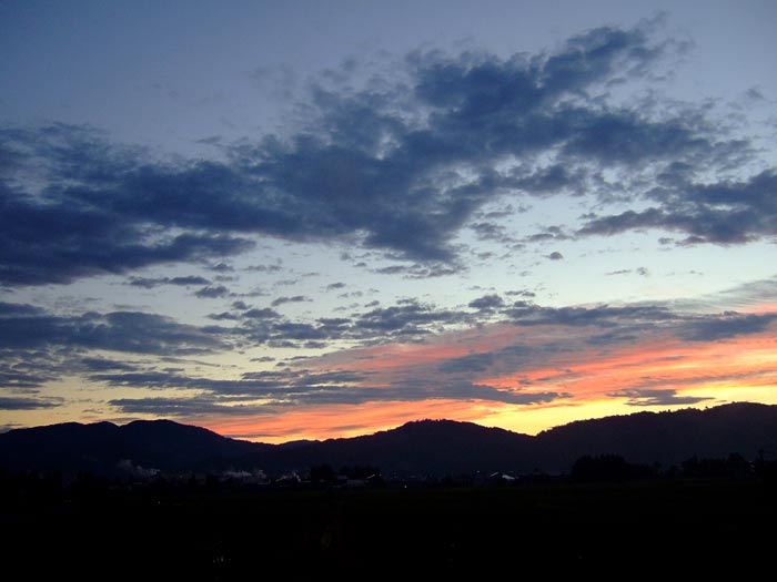 e0006242_8422483.jpg