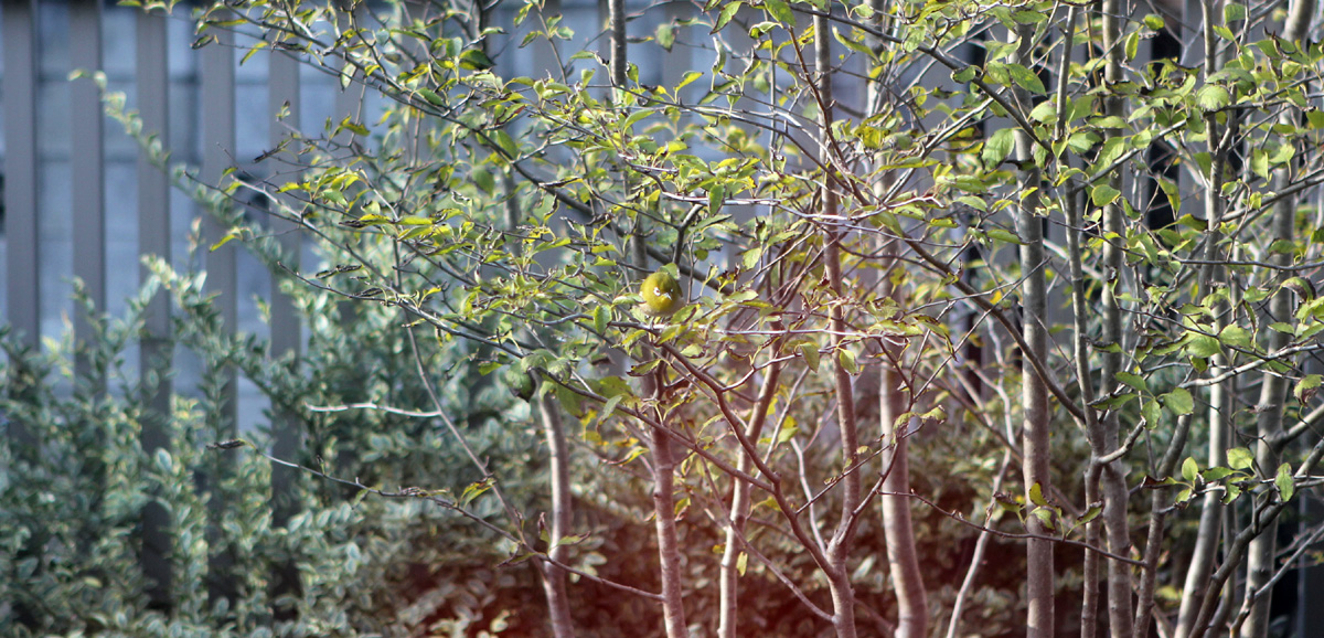 f0184244_825948.jpg