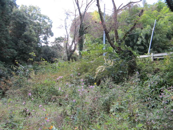 b0132746_22365097.jpg