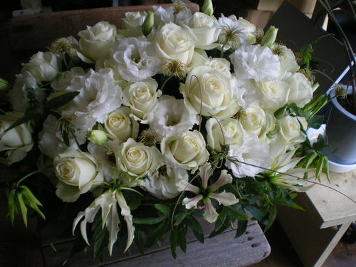 f0041850_1251333.jpg
