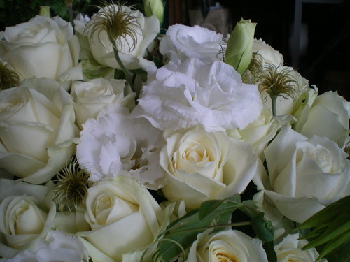f0041850_12514725.jpg