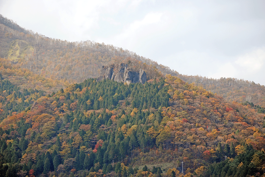 a0001354_19573185.gif