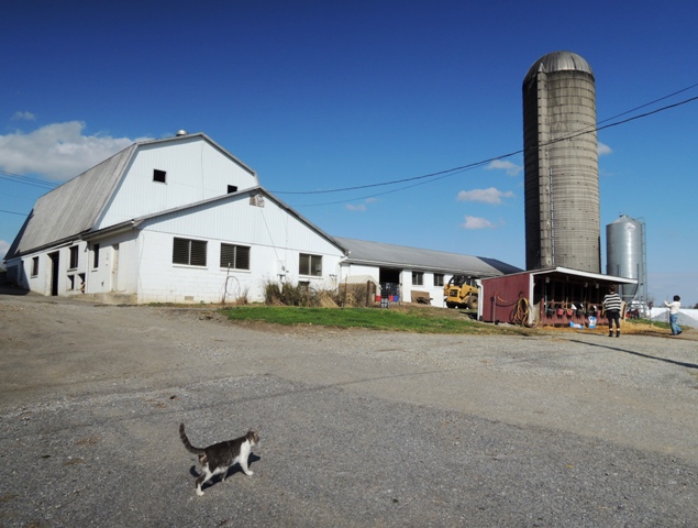 b0173754_2324577.jpg
