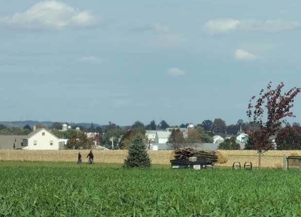 b0173754_27711.jpg
