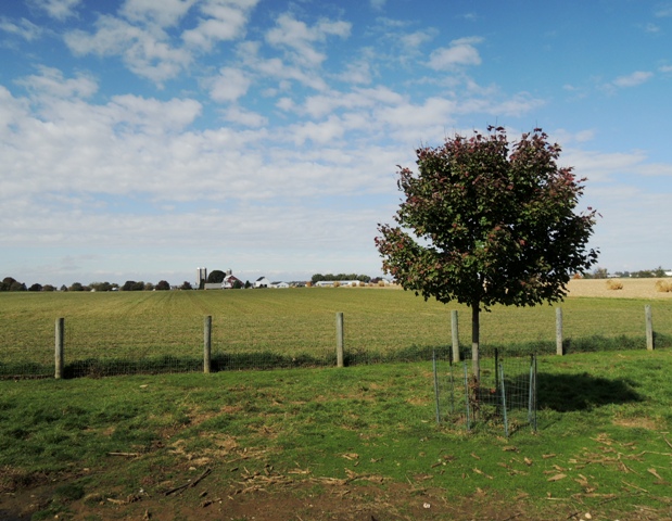 b0173754_291622.jpg