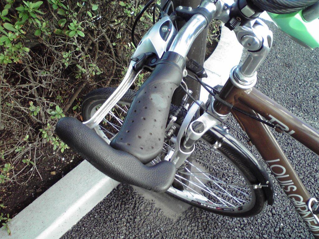 f0057955_211156.jpg