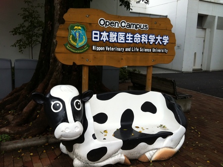 b0164356_0171834.jpg
