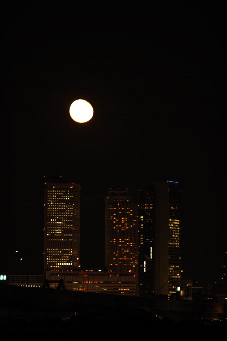 e0216857_1315781.jpg