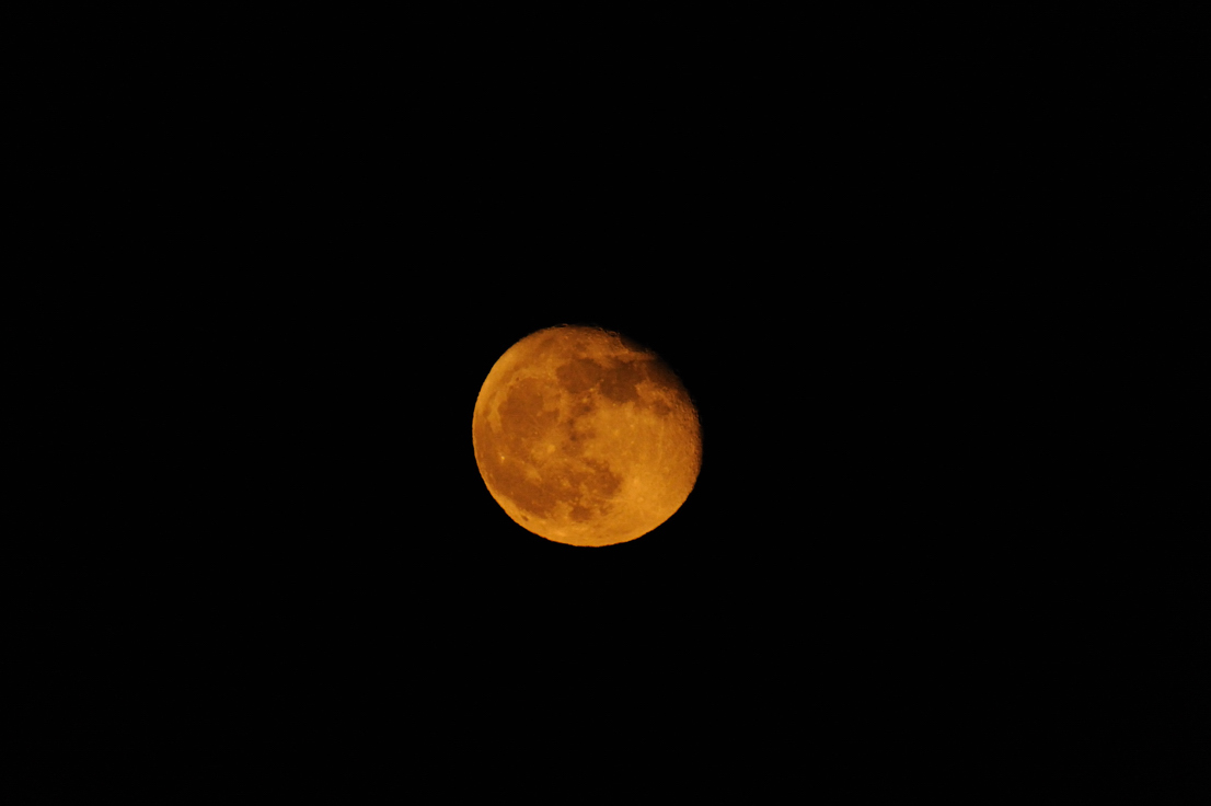 e0216857_1322766.jpg