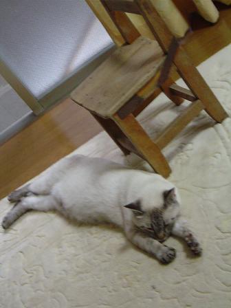 c0172261_9233293.jpg