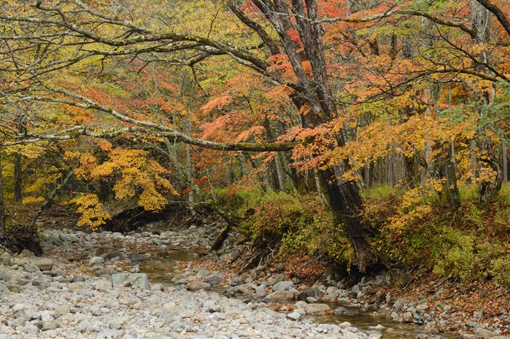 f0222161_1135073.jpg