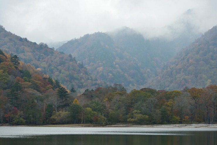 f0222161_13145163.jpg