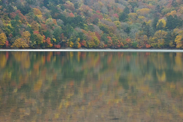 f0222161_1315798.jpg