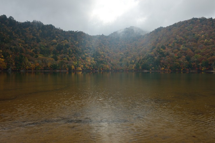 f0222161_1315828.jpg