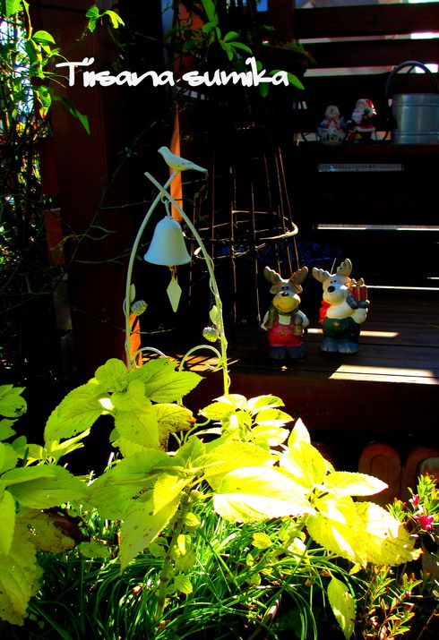 a0243064_14413461.jpg