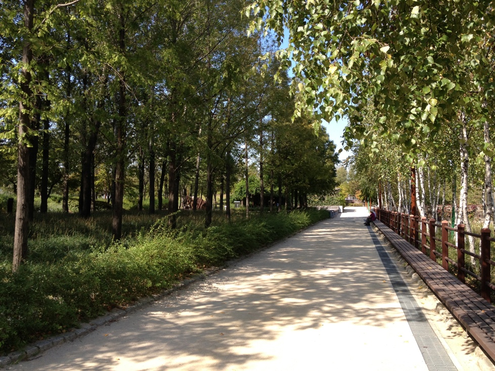 f0020564_16113559.jpg