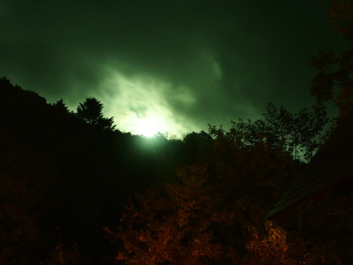c0122670_23171931.jpg