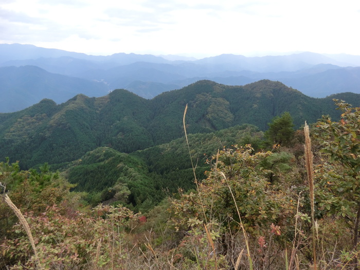 b0185573_15521911.jpg