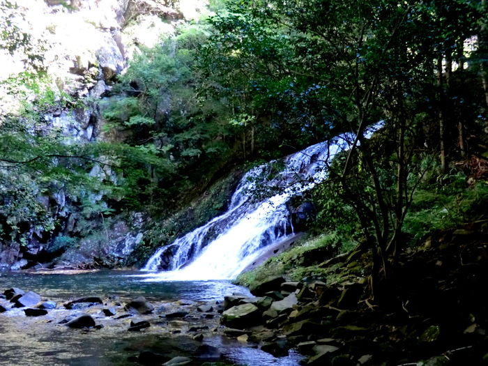 b0185573_17542498.jpg