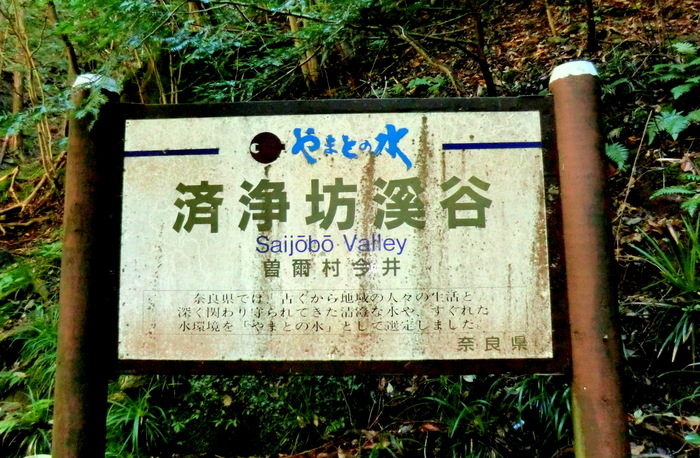 b0185573_1755953.jpg