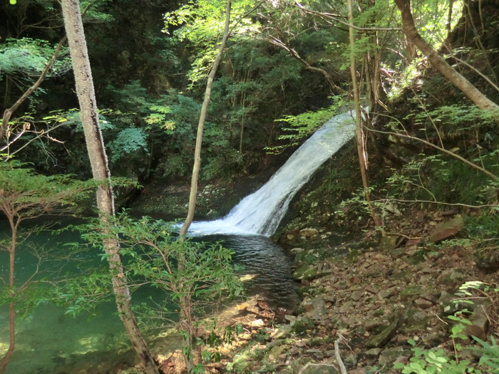 b0185573_1775370.jpg