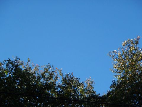 f0047773_21173486.jpg