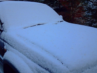 f0182173_927582.jpg