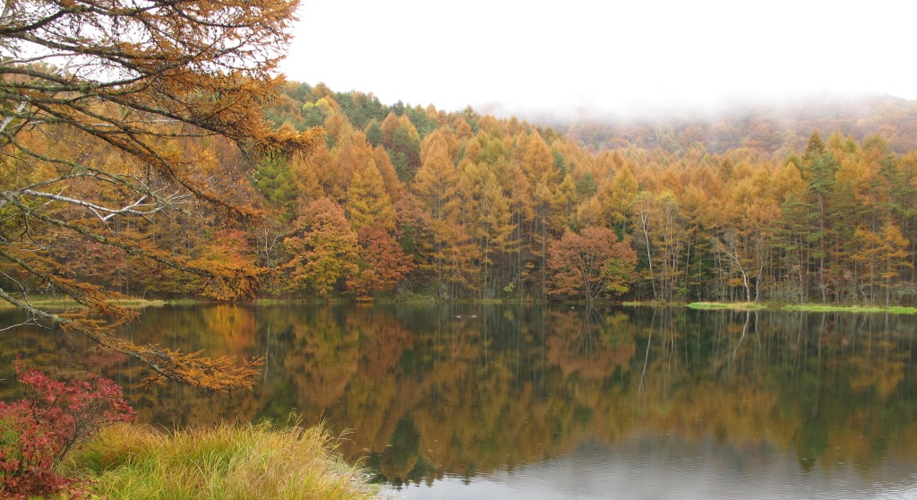 a0091680_201025.jpg