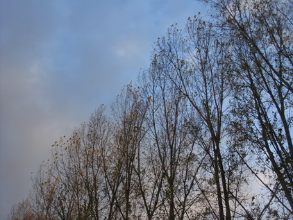 a0247585_5524042.jpg