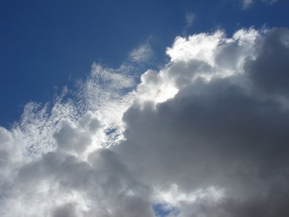 a0247585_5594390.jpg
