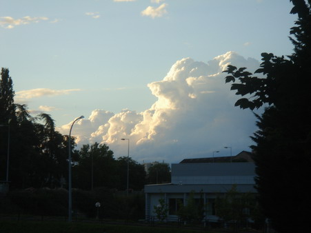 a0247585_559846.jpg