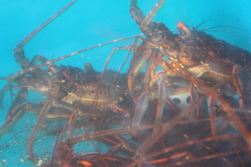 c0204385_02056.jpg