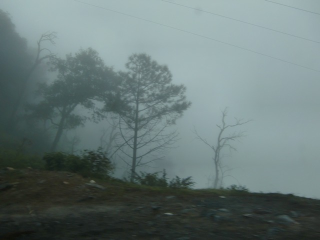 e0172085_7362794.jpg