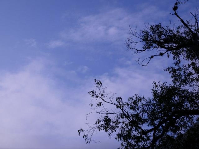 e0172085_757587.jpg