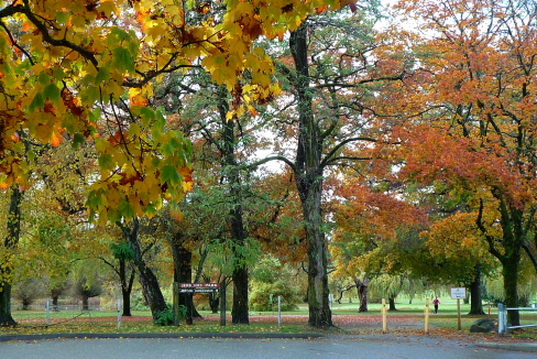 d0129786_148680.jpg