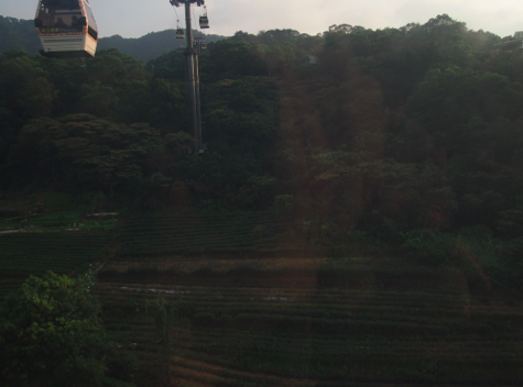 a0146493_2318033.png