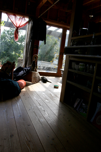 d0100095_13544769.jpg