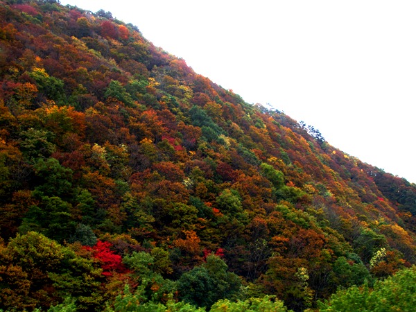 b0192199_105043100.jpg