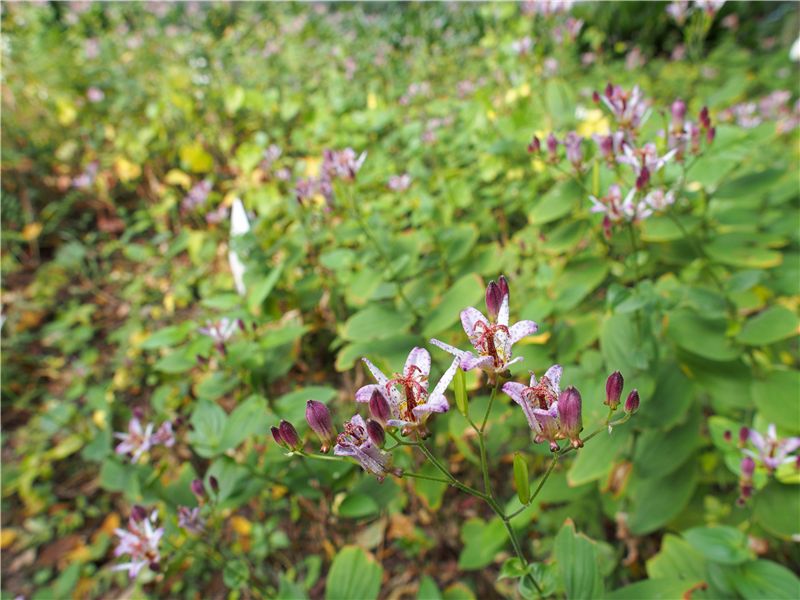 f0224100_2201259.jpg