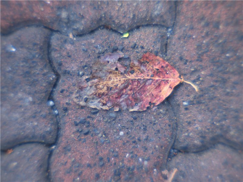 f0224100_8324391.jpg