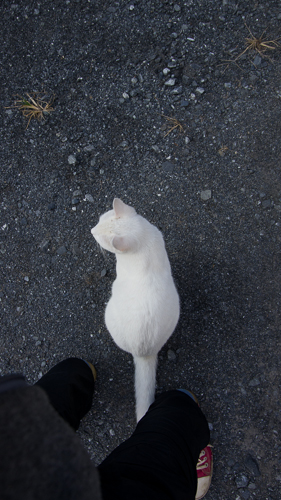 f0239100_22413217.jpg