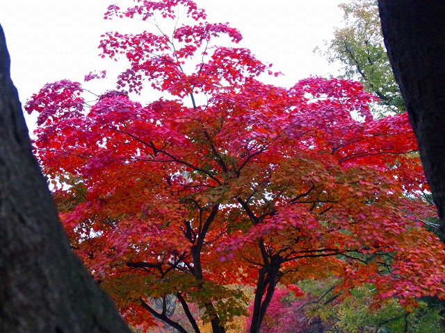 f0157901_17222191.jpg
