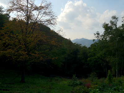 a0201204_2216780.jpg