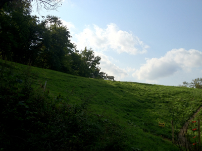 a0201204_2218860.jpg