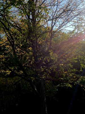 a0201204_22191364.jpg
