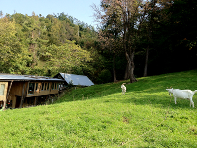 a0201204_22203871.jpg