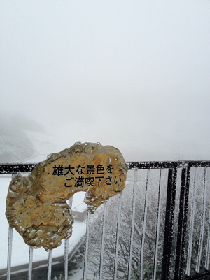 a0201204_2241595.jpg