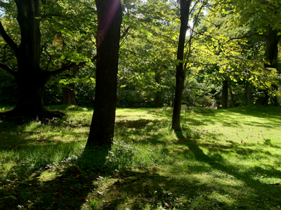 a0201204_2292316.jpg