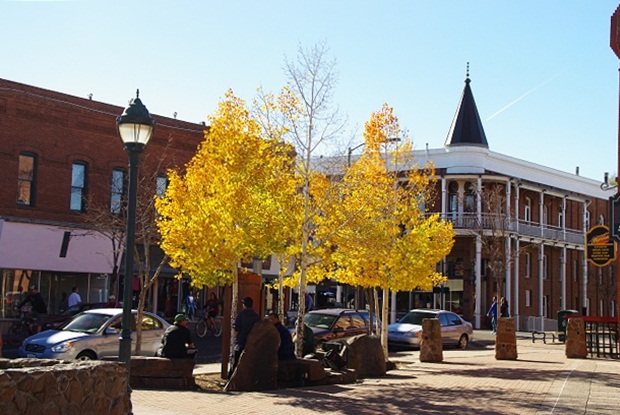 f0038904_1648065.jpg