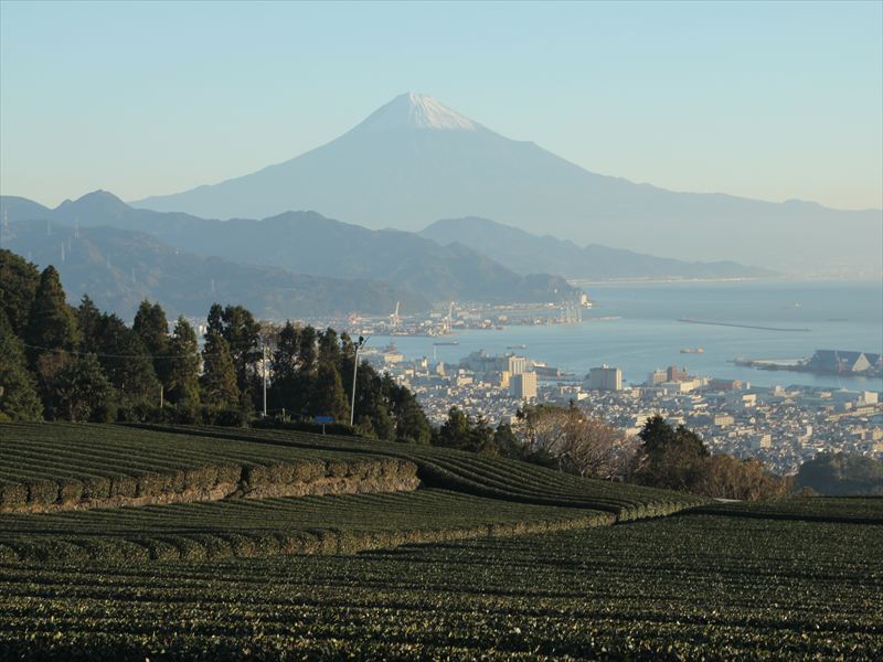 a0188405_16155390.jpg